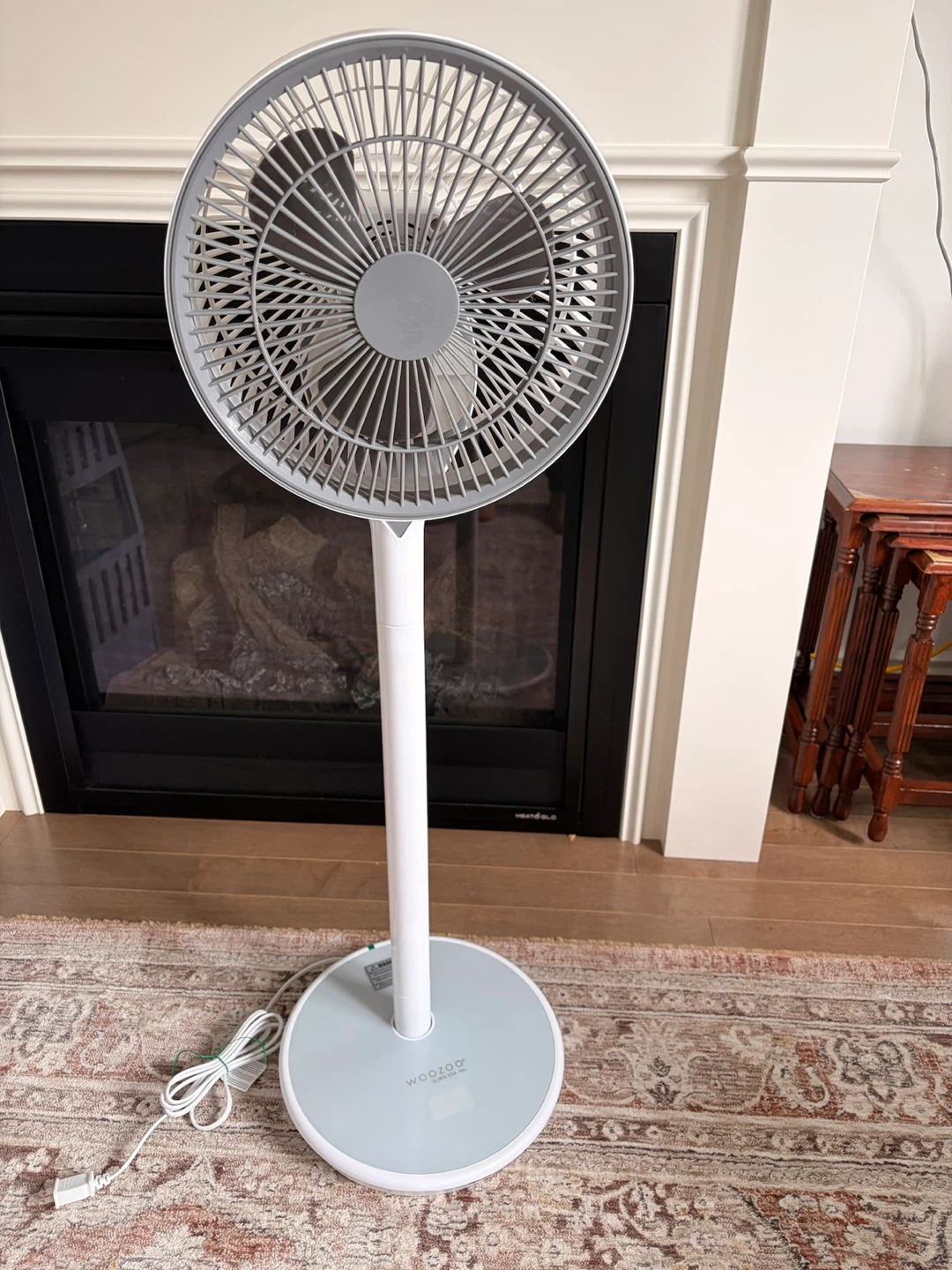WOOZOO Oscillating Pedestal Fan