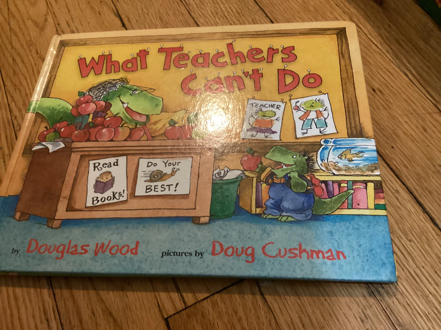 ⚽️What Teachers Can't Do Children's Book by Douglas Wood
