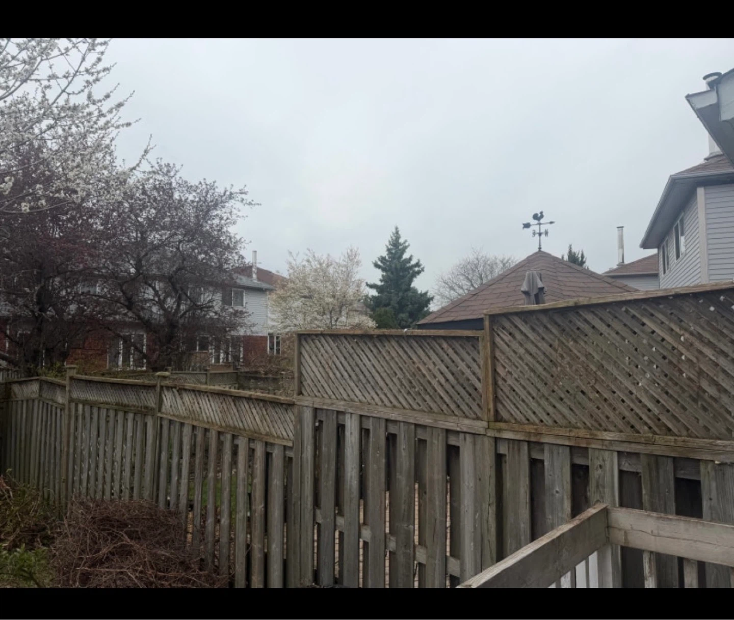 Handyman/Cleaner/Landscaper/Car Detailing - photo 2