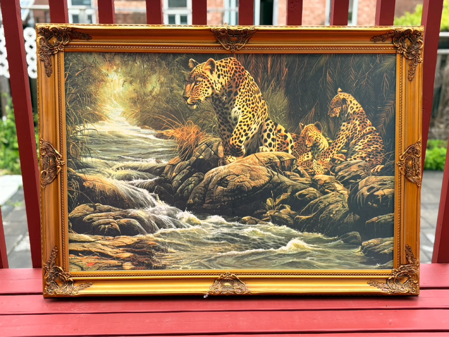 Framed Leopard Family Waterfall Art Print ⚽️⚽️