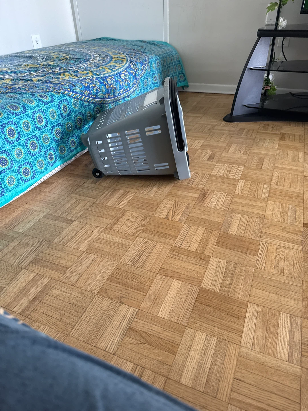 Grey Laundry Basket with Wheels  ⚽️