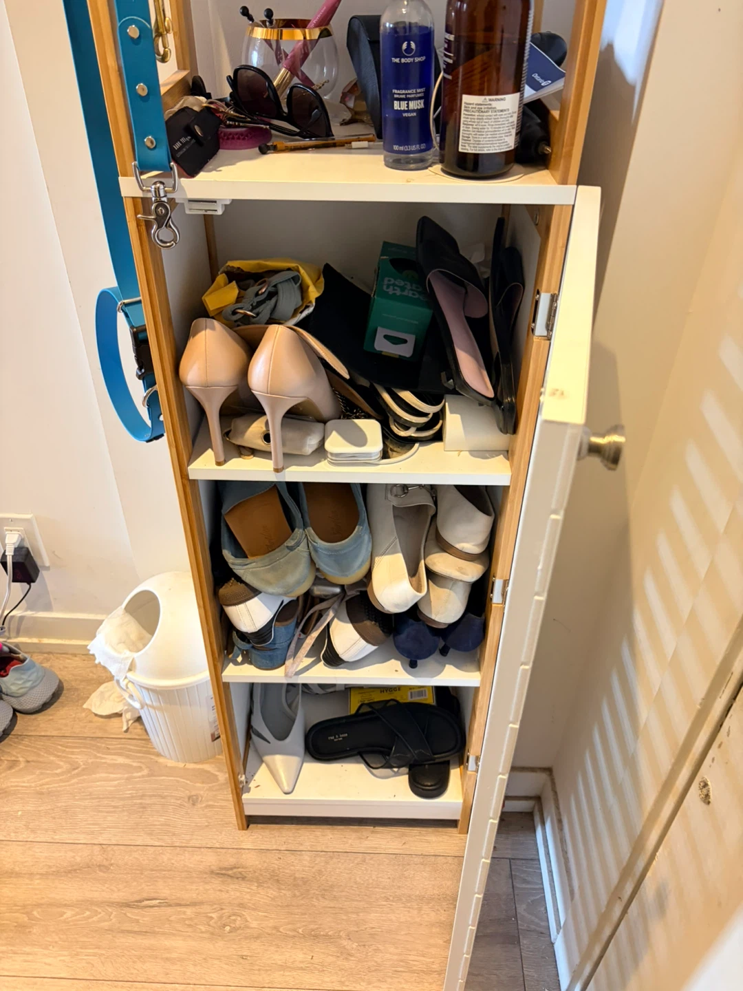 Shoe and closet