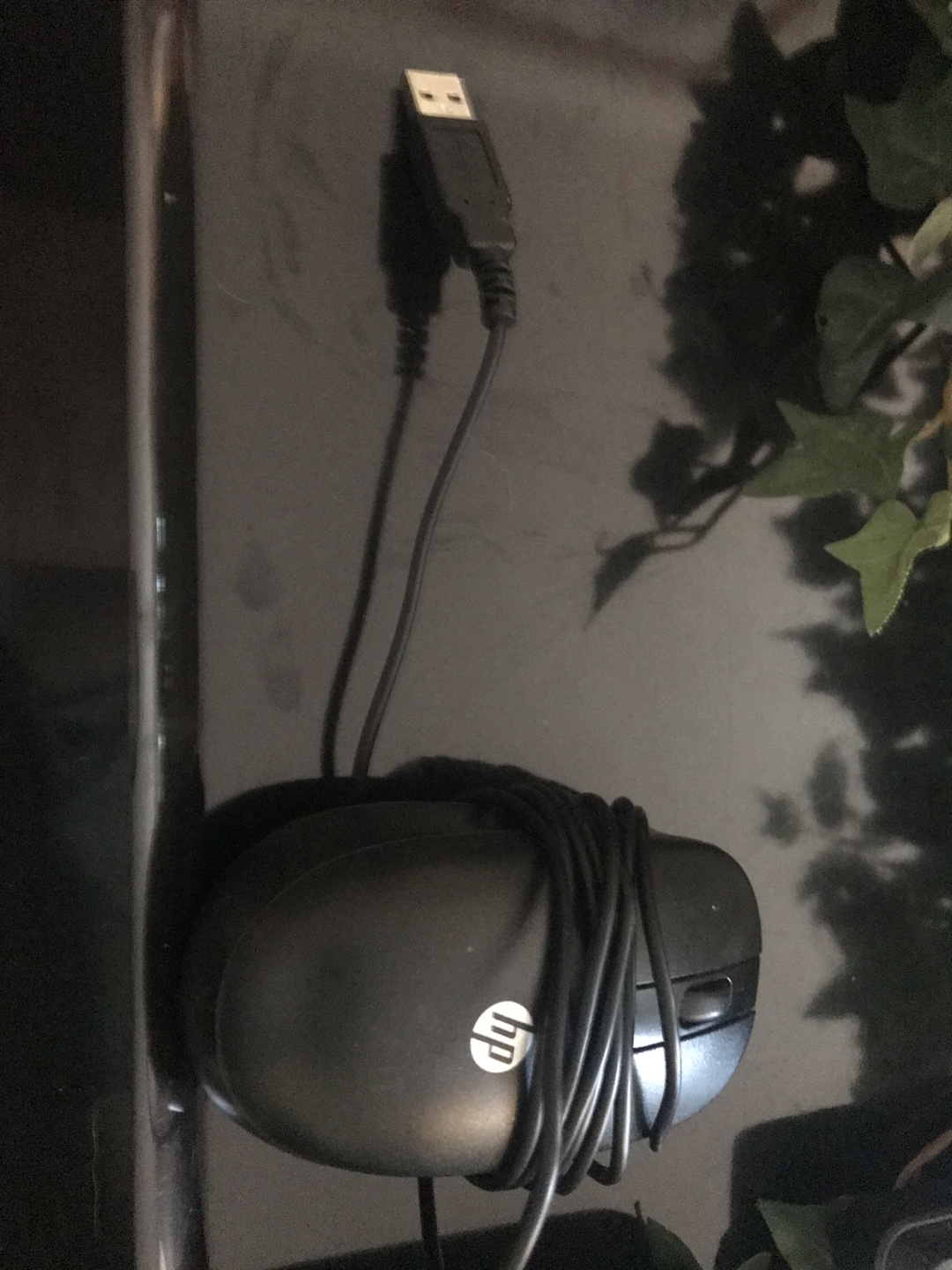 HP USB Wired Computer Mouse
