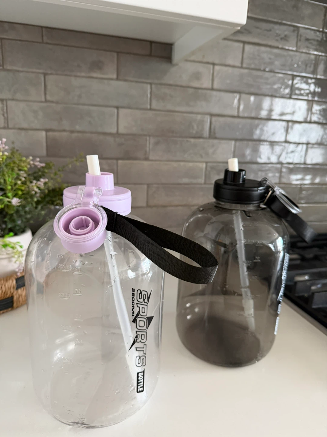 Half Gallon Water Bottles - Pair