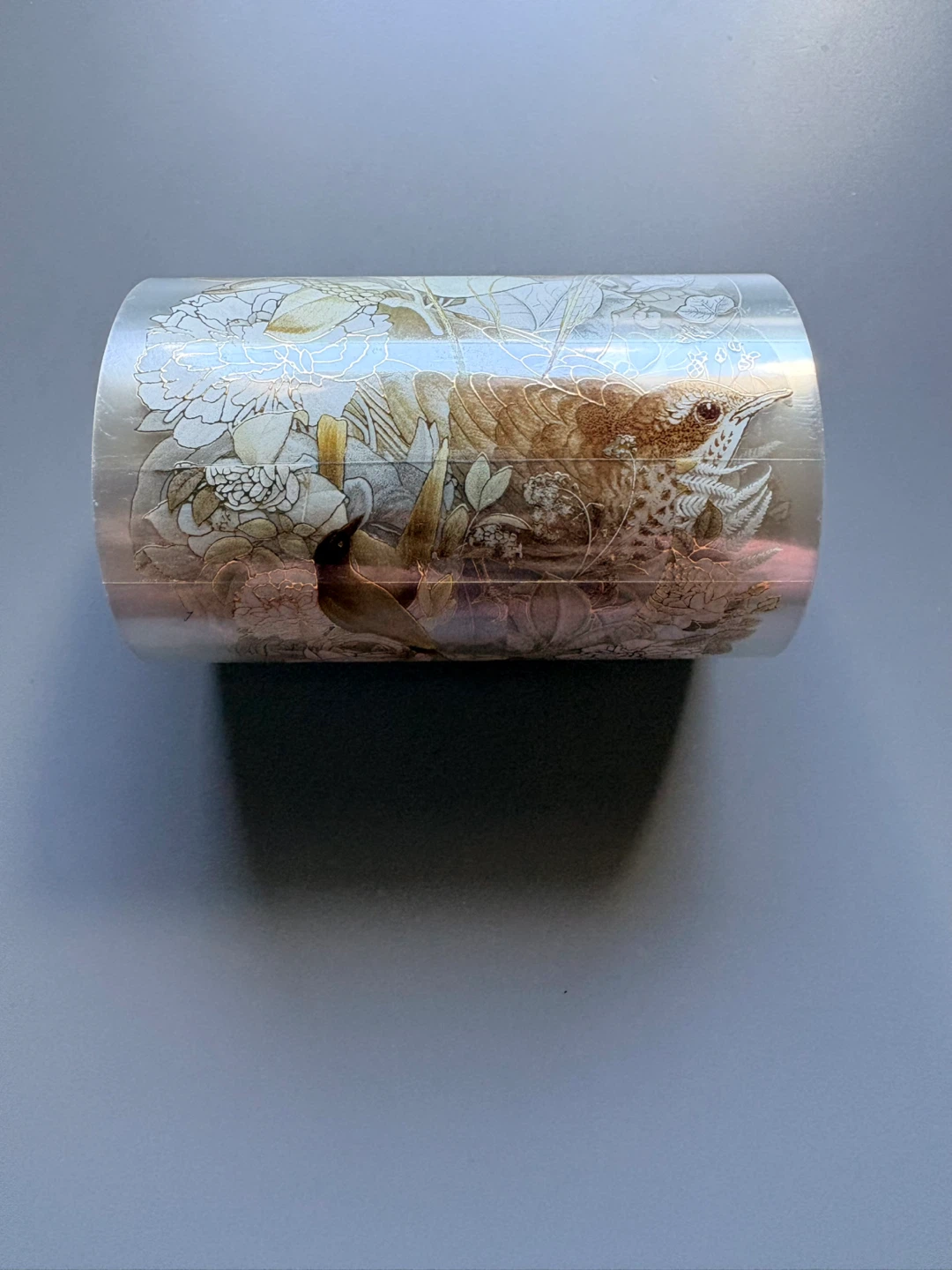 The Washi Shop Florentia Wide PET Tape ⚽️