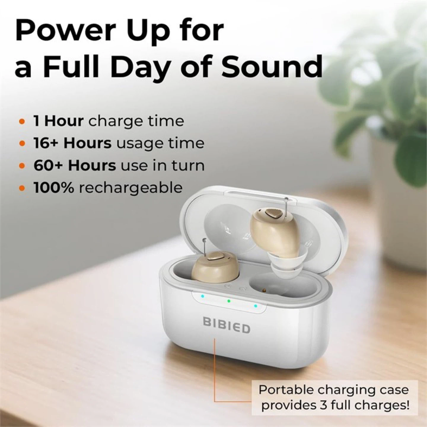 BIBIED Rechargeable Hearing Aid Set