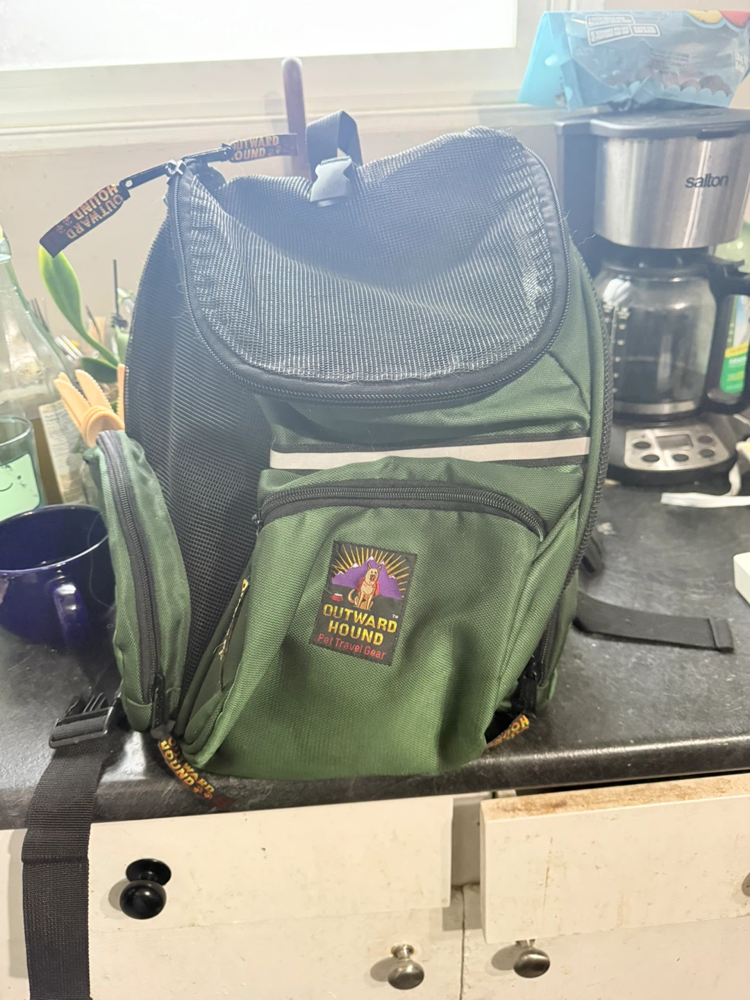 Outward Hound Pet Travel Gear Backpack