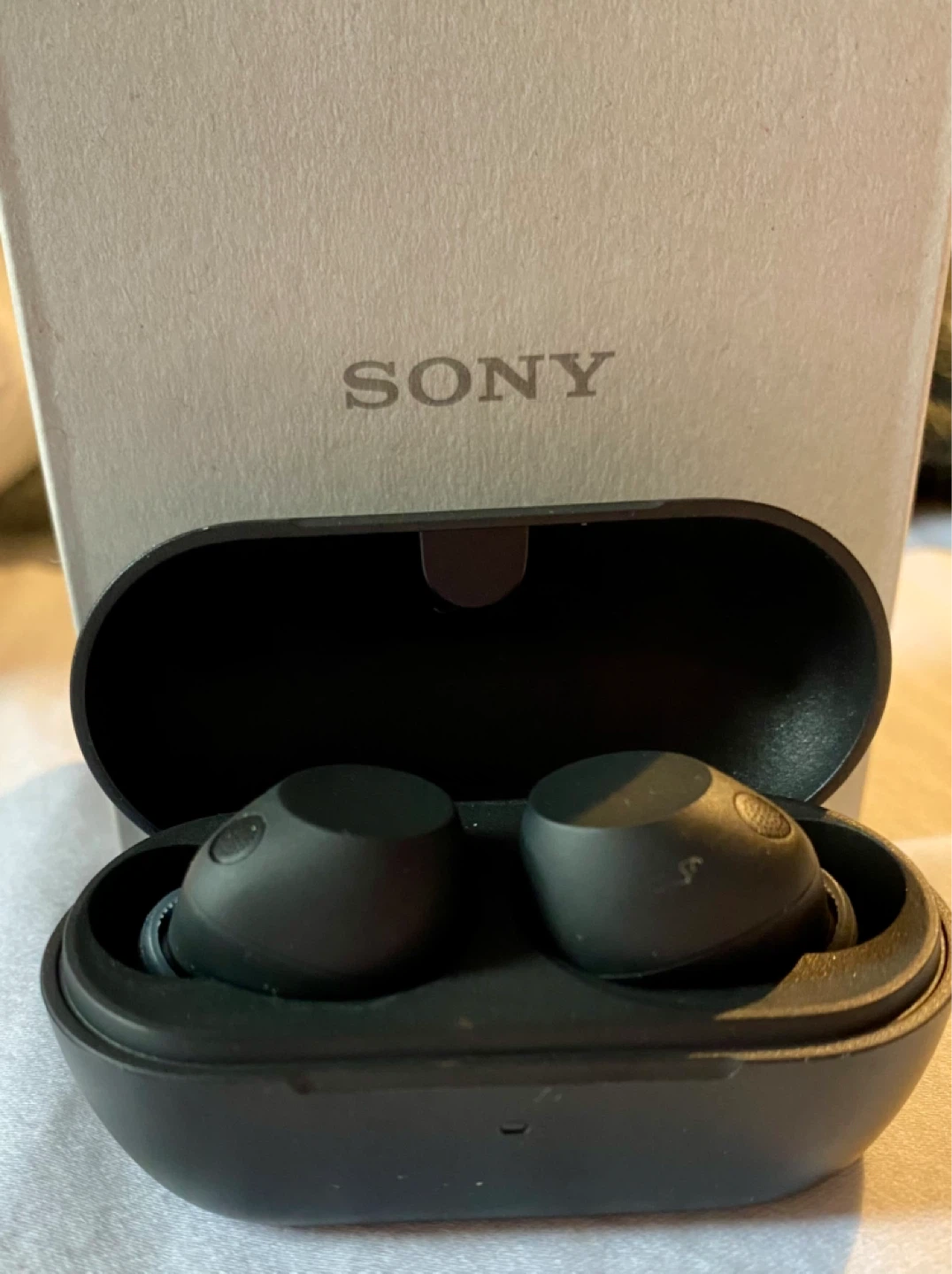 Sony Wireless Earbuds WF-C710N - photo 2