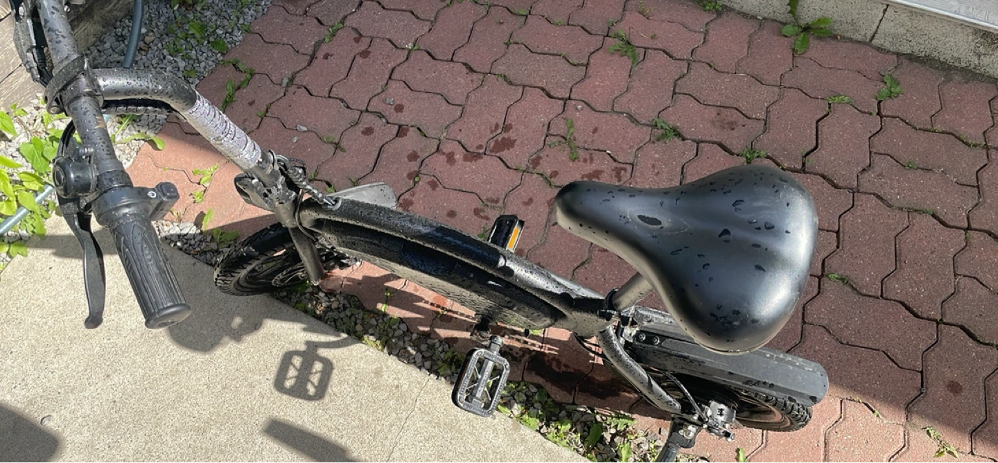 Jetson e bike - photo 2
