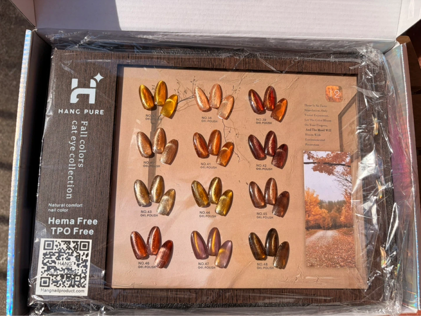 Fall Colors Cat Eye Collection Gel Polish Set - photo 2