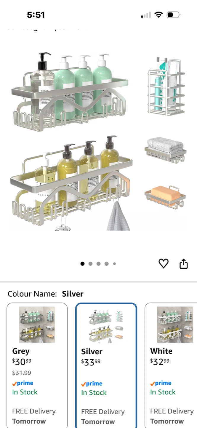 Silver Shower Caddy Shelf