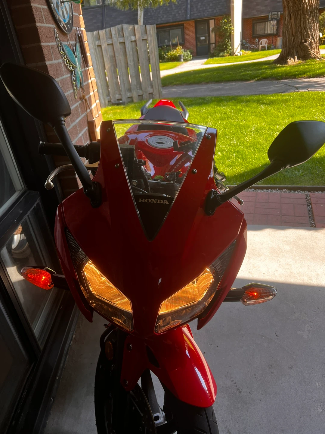 Red Honda CBR 300R - photo 3