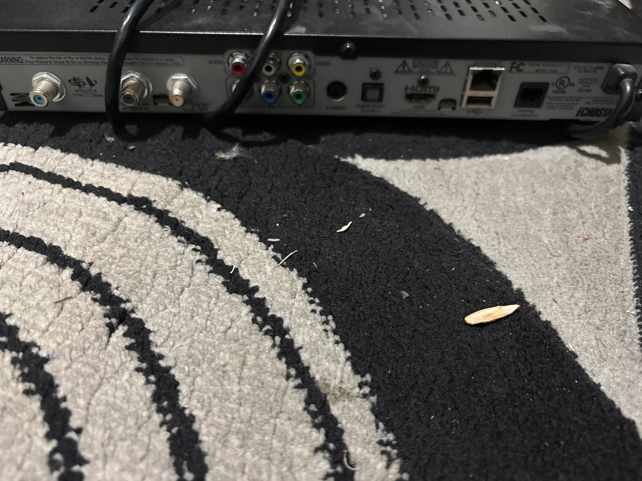 Echostar Satellite Receiver - photo 2