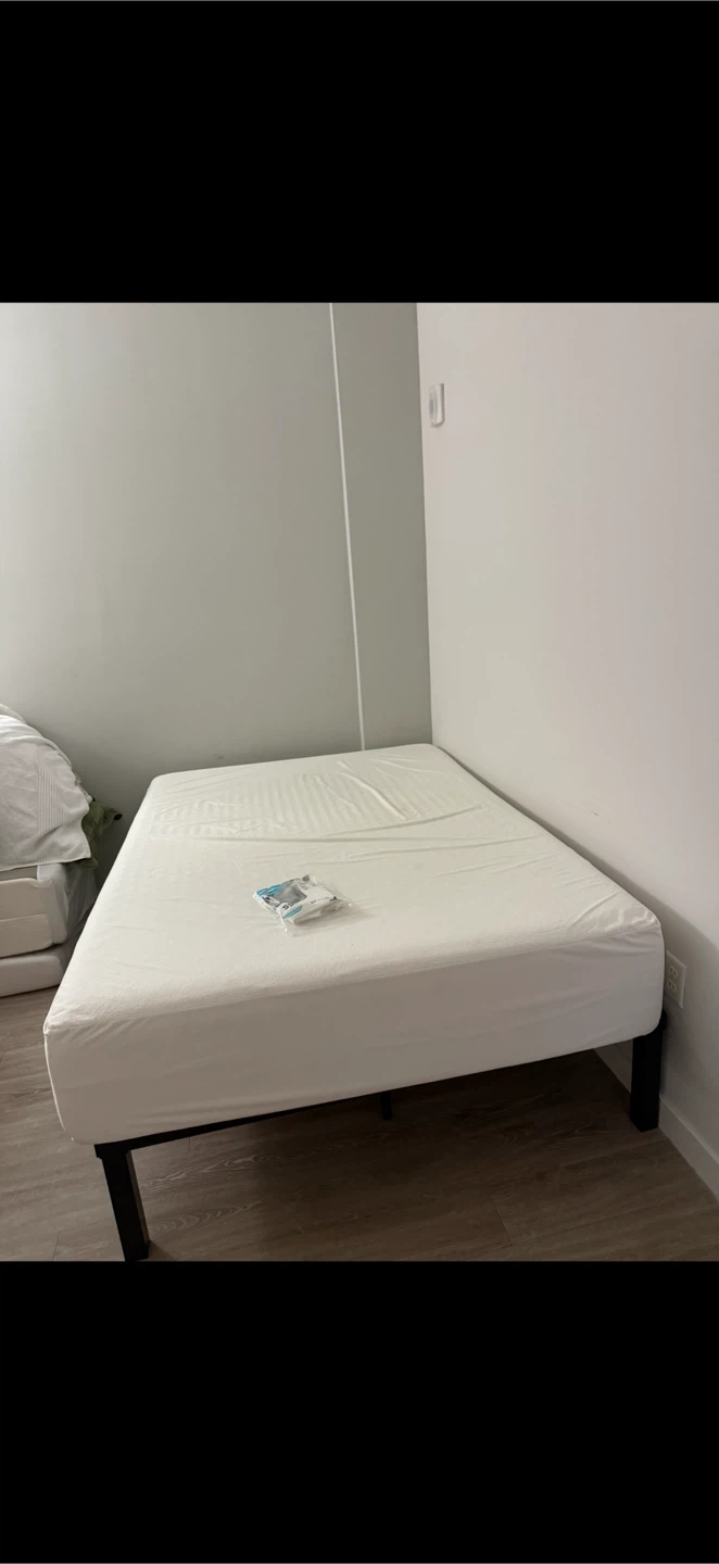 Queen Platform Bed Frame with mattress