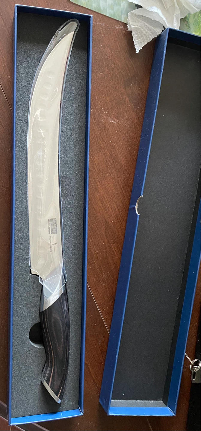 Hoshanho 10 inch carving knife