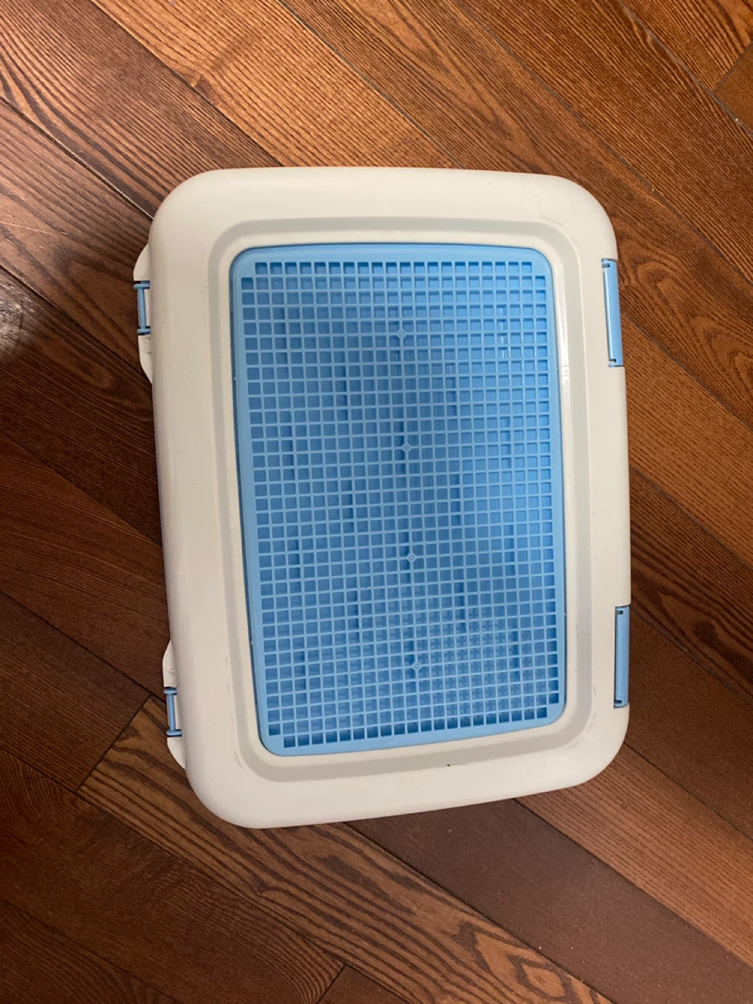 Blue and White Pet Training Tray