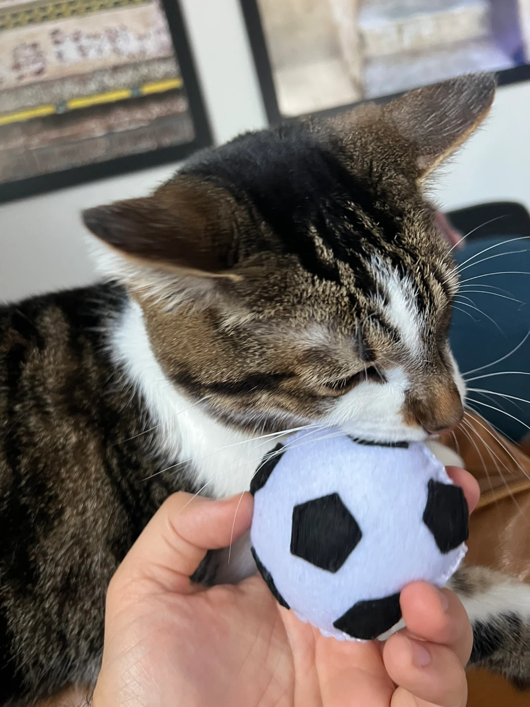 Handmade Felt Cat Toy Ball w Maple Leaf - photo 3