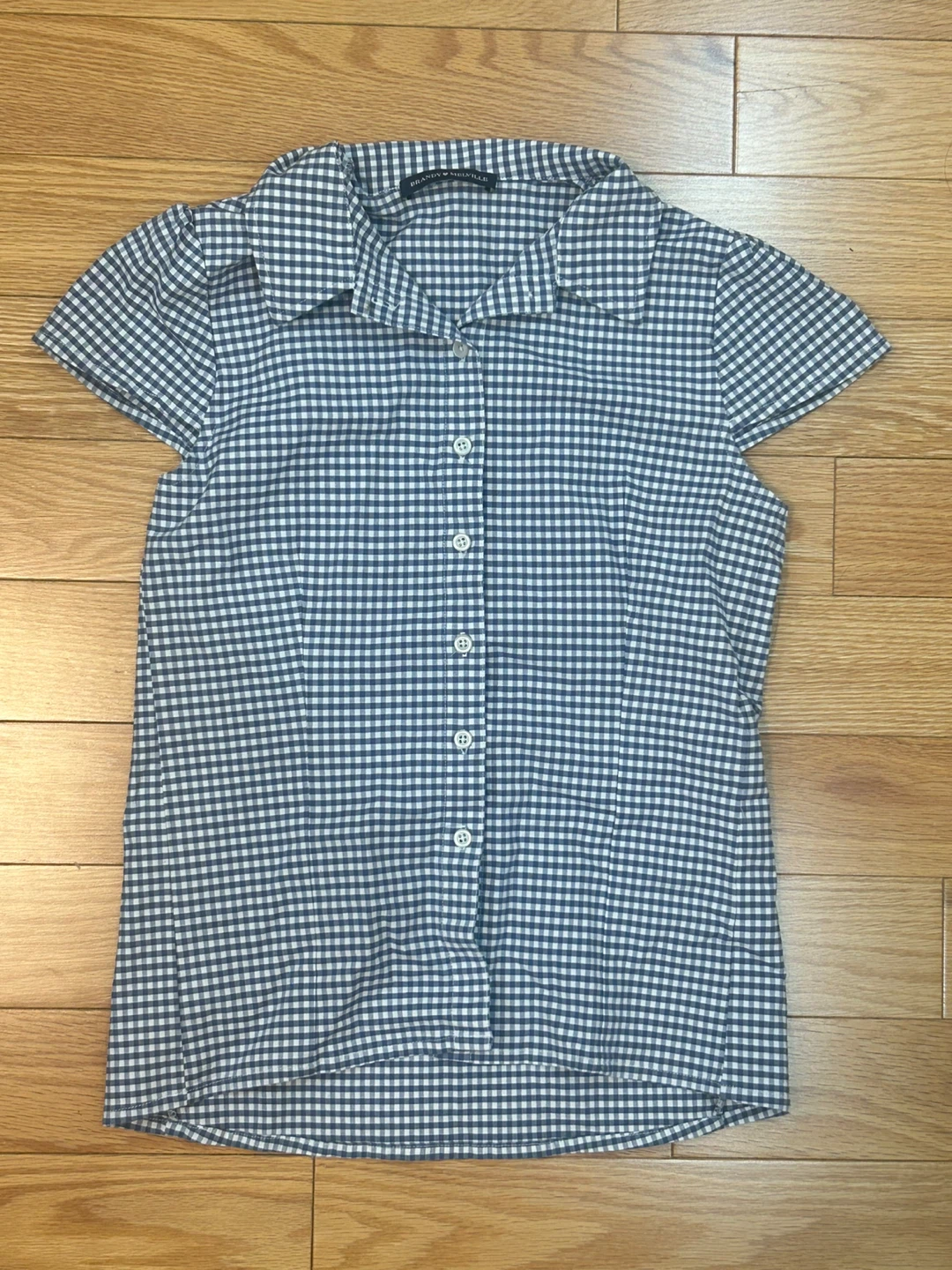 Brandy Melville Blue Gingham Short Sleeve Button Up Shirt