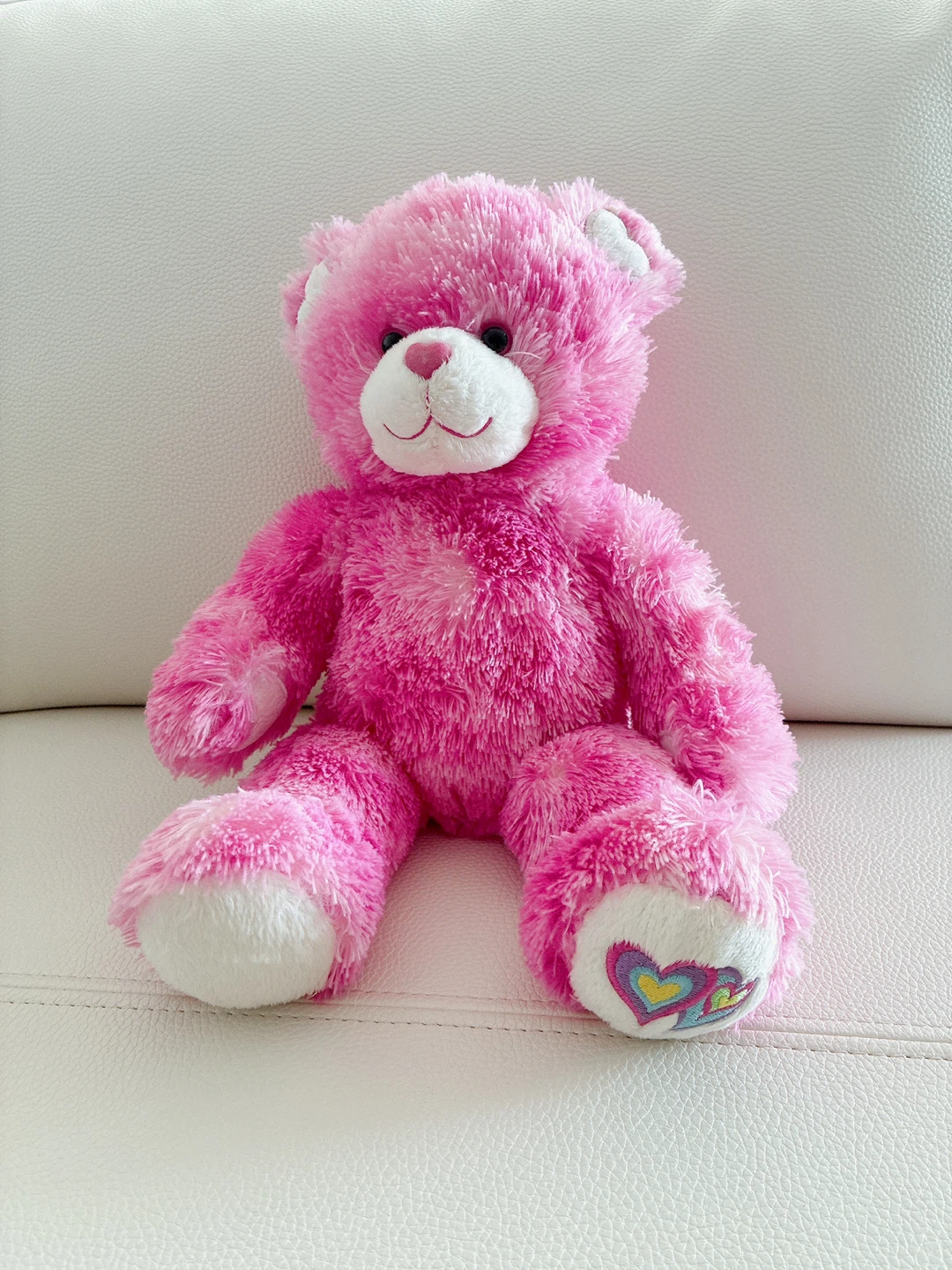 Build-A-Bear Pink Teddy Bear