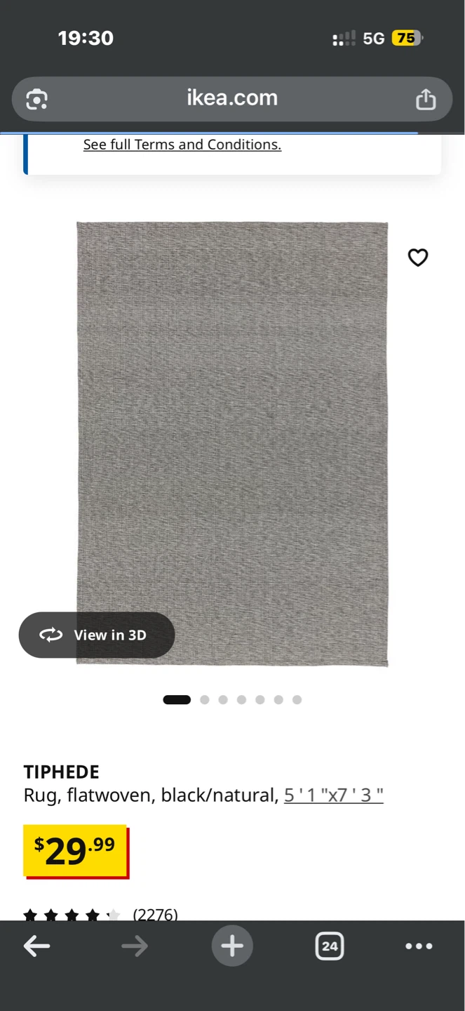 IKEA TIPHEDE Rug 5'1"x7'3" - photo 2