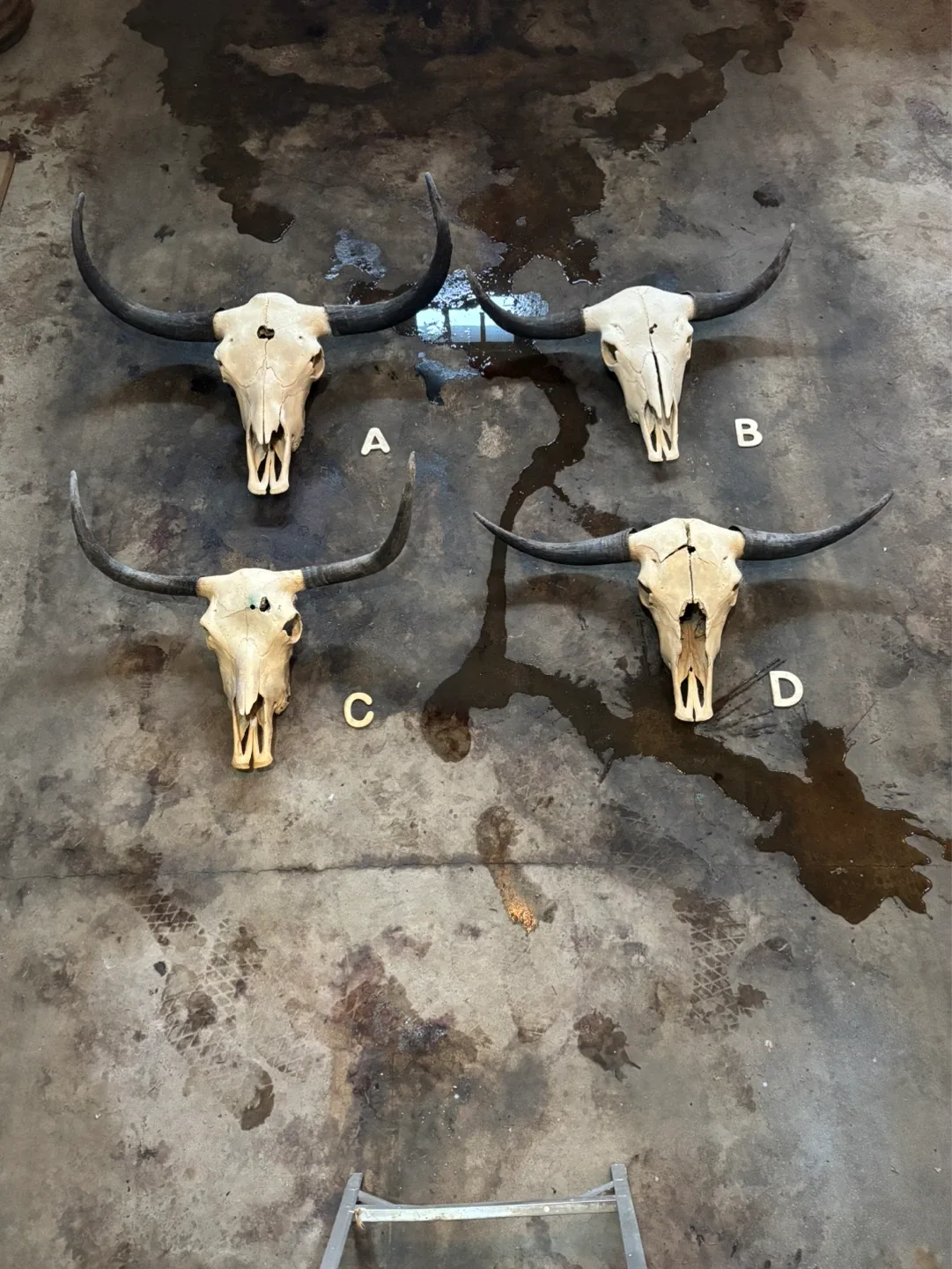 Kleen Skullzz - photo 2