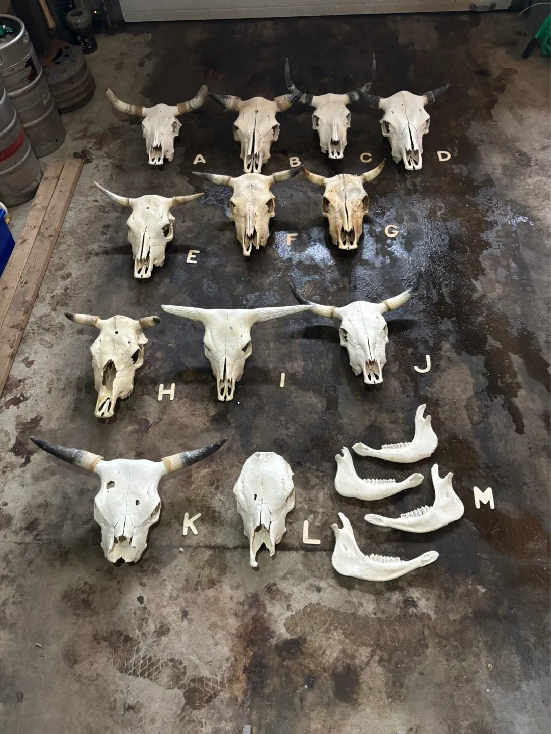 Kleen Skullzz - photo 4