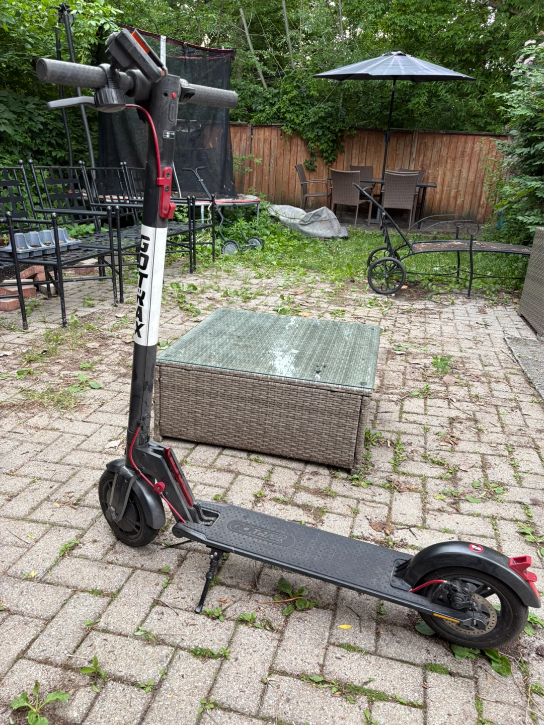 GOTRAX Electric Scooter
