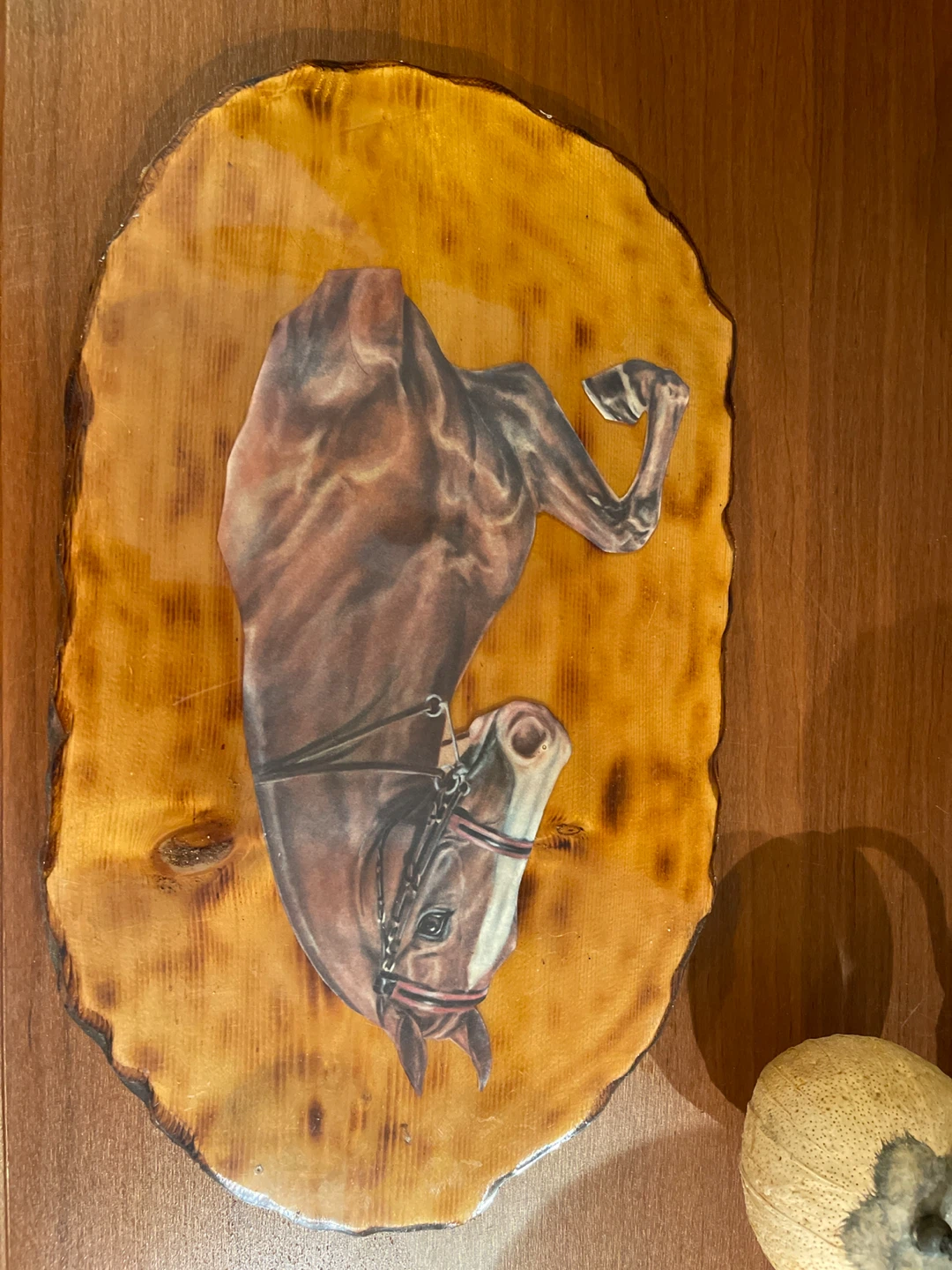 Wood Slice Horse Wall Art ⚽ - photo 3
