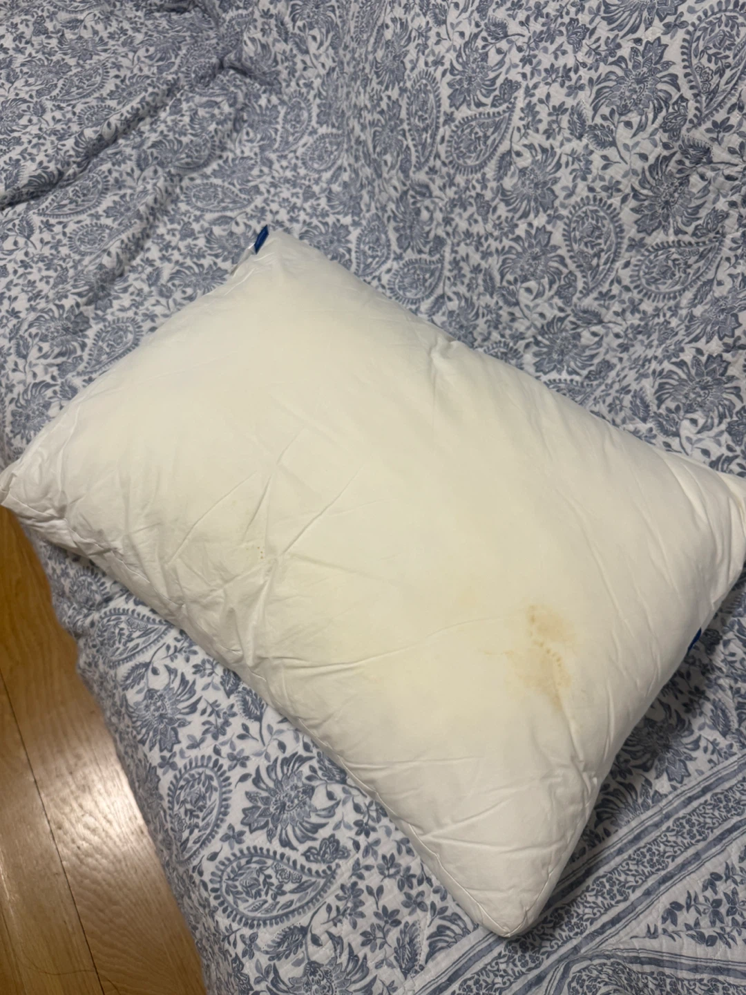 Casper Standard "The Essential" Pillow - Regular