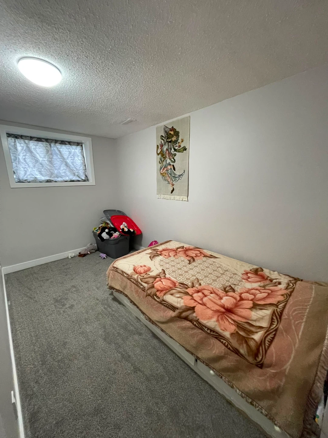 Basement for rent - photo 5