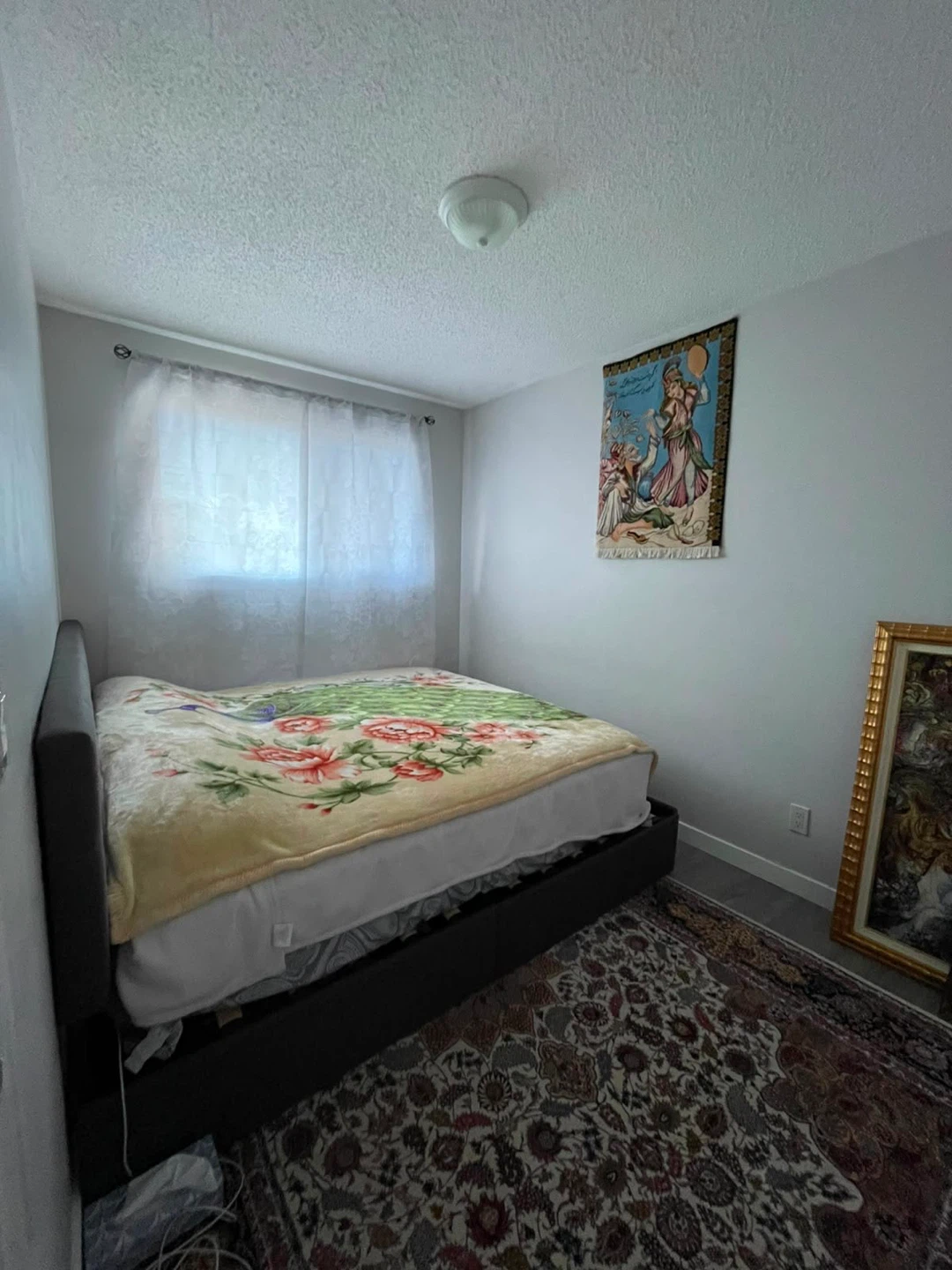 House for rent - photo 2