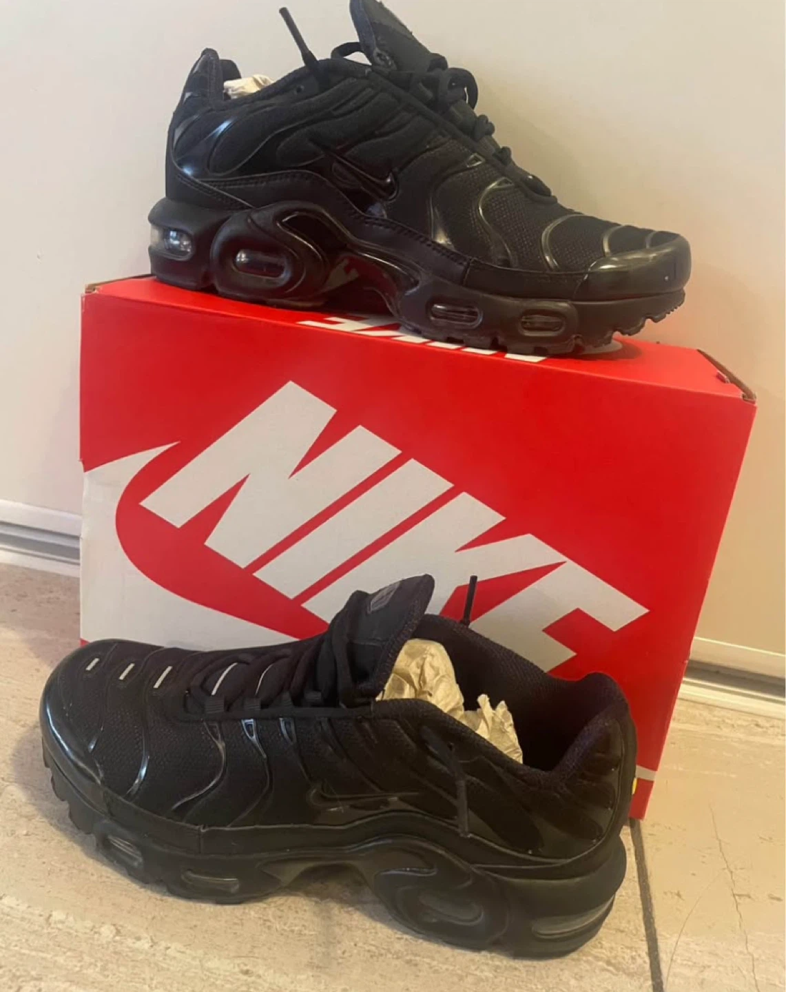 Nike Air Max Plus TN Sneakers