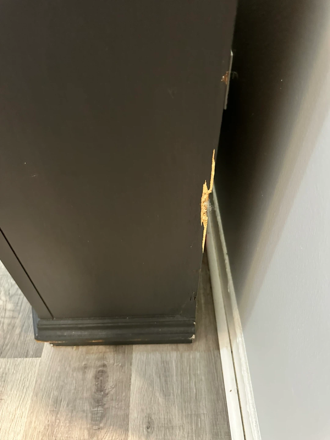 Vintage Black and Gold Decorative Cabinet - photo 5