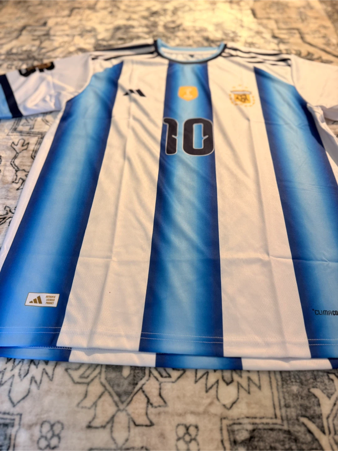 Men's Argentina Messi 10 Soccer Jersey | medium size - photo 4