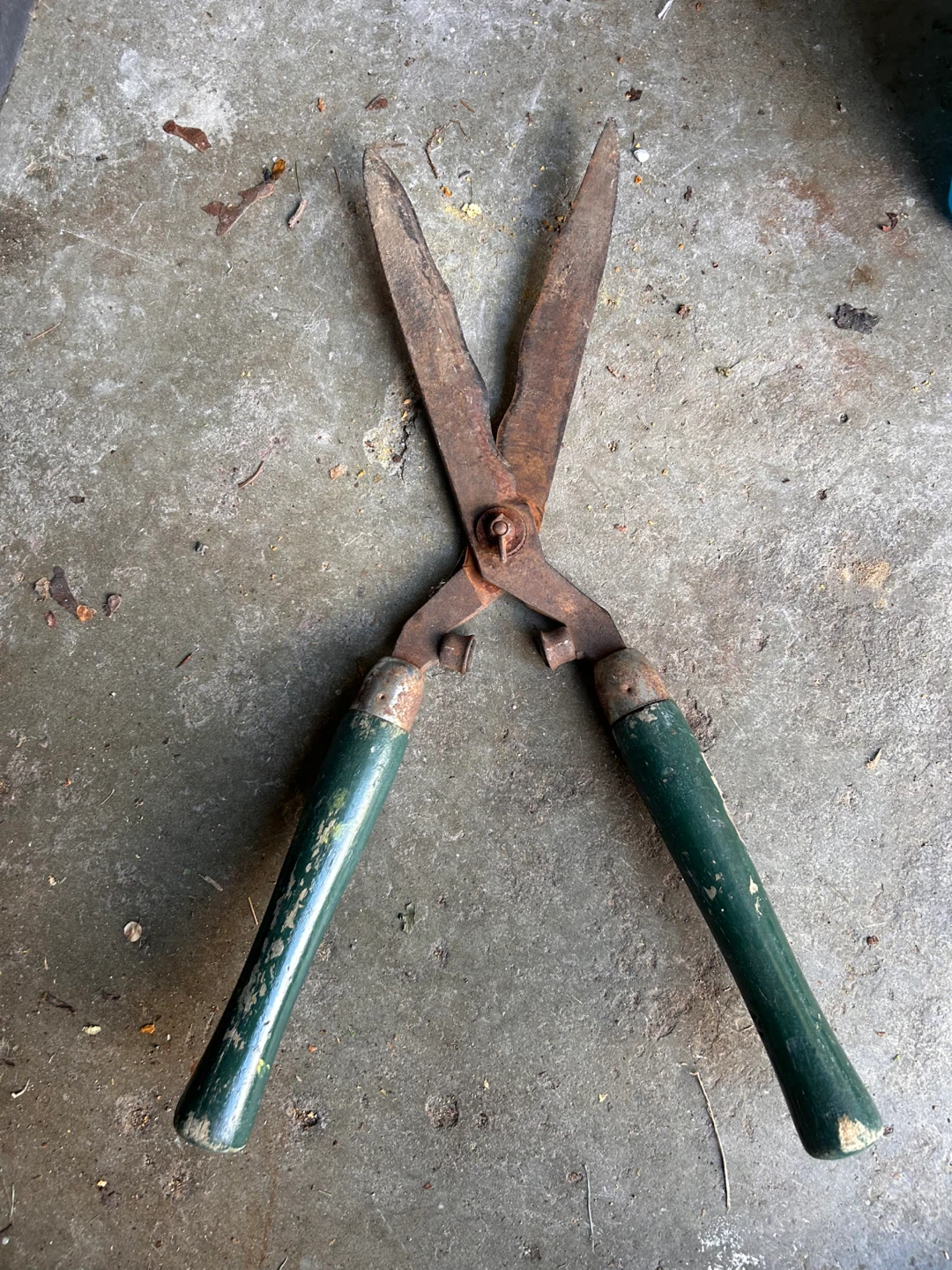 ⚽️Vintage Garden Shears