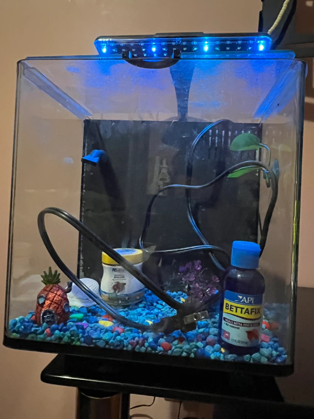 Fish tank - photo 4