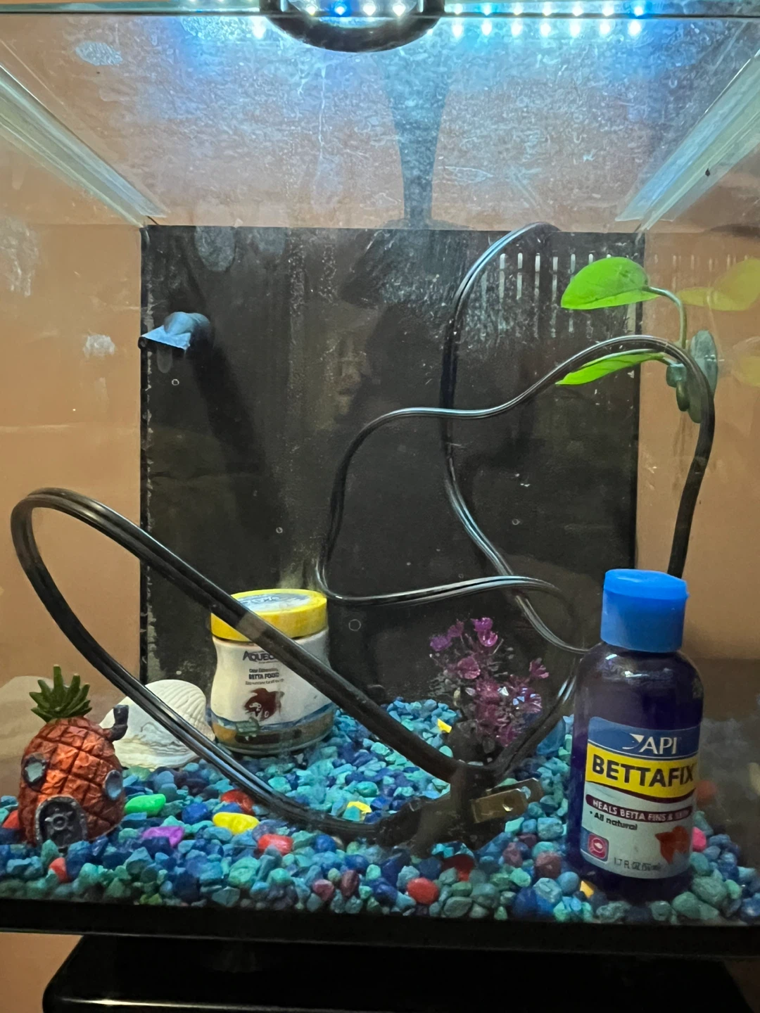 Fish tank - photo 3