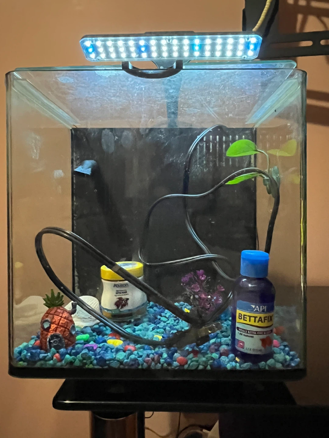 Fish tank - photo 2