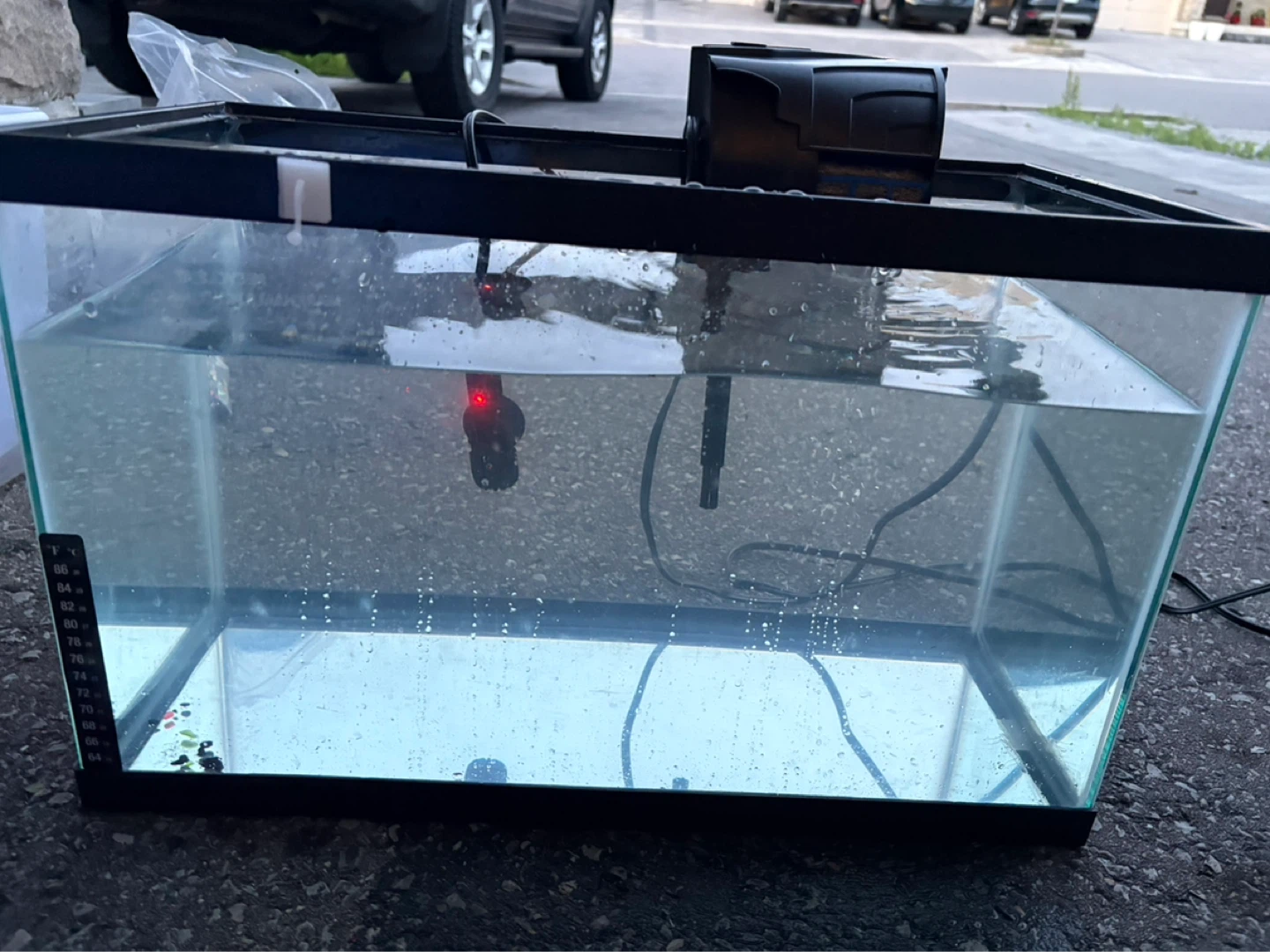 AquaClear 10 Gallon Aquarium with Filter and Heater - photo 4