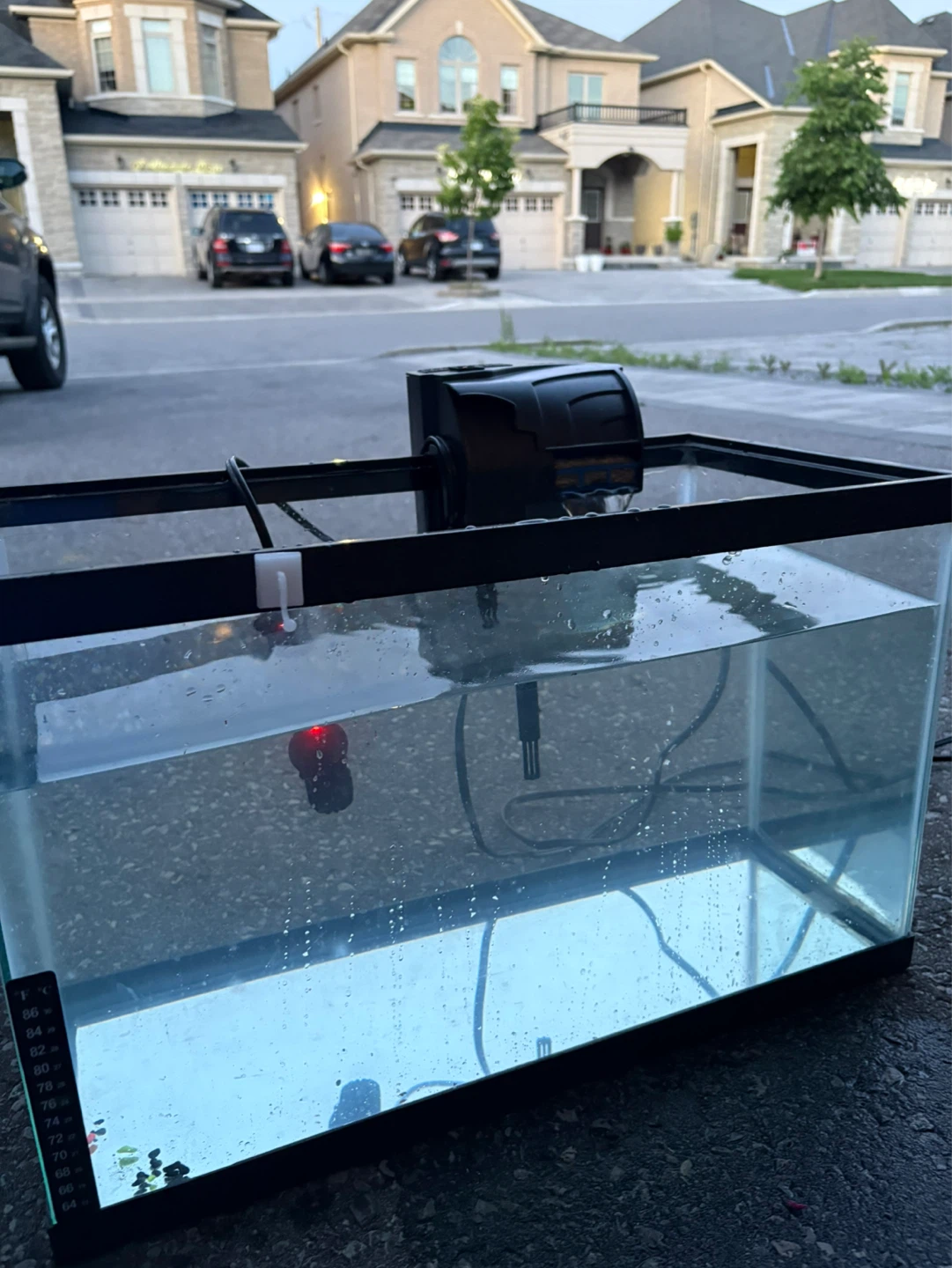 AquaClear 10 Gallon Aquarium with Filter and Heater - photo 2
