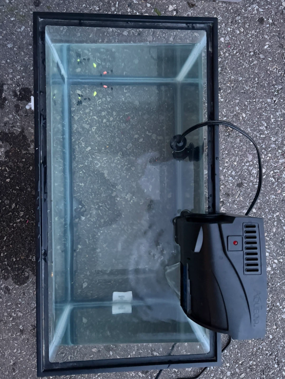AquaClear 10 Gallon Aquarium with Filter and Heater