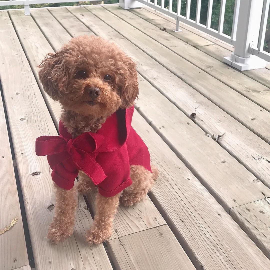 Red dog coat with bow