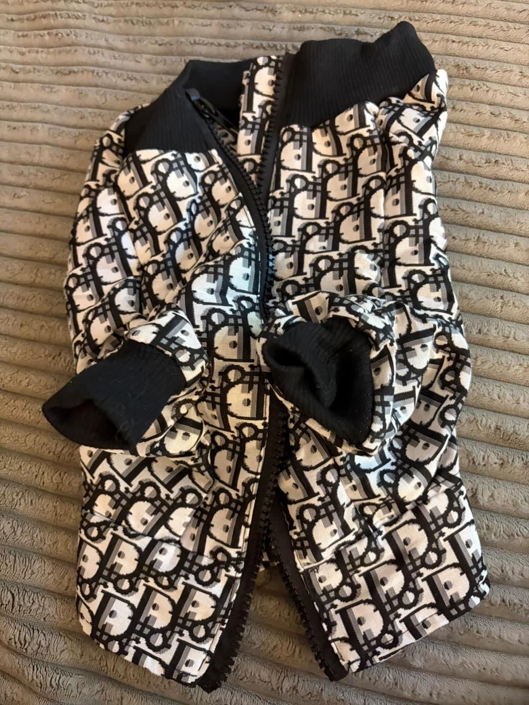 Dior Dog Zipper