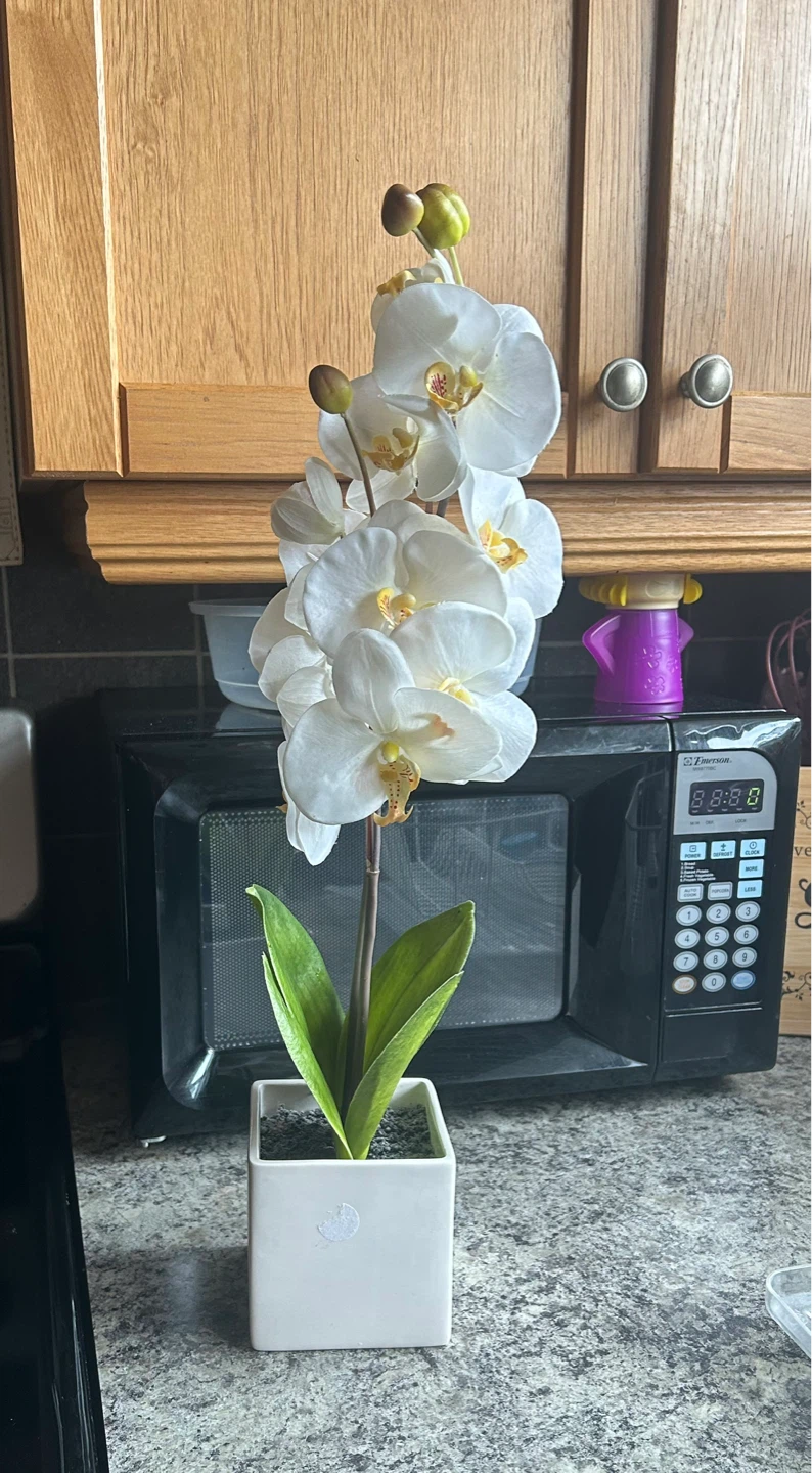 White Artificial Orchid Plant ⚽