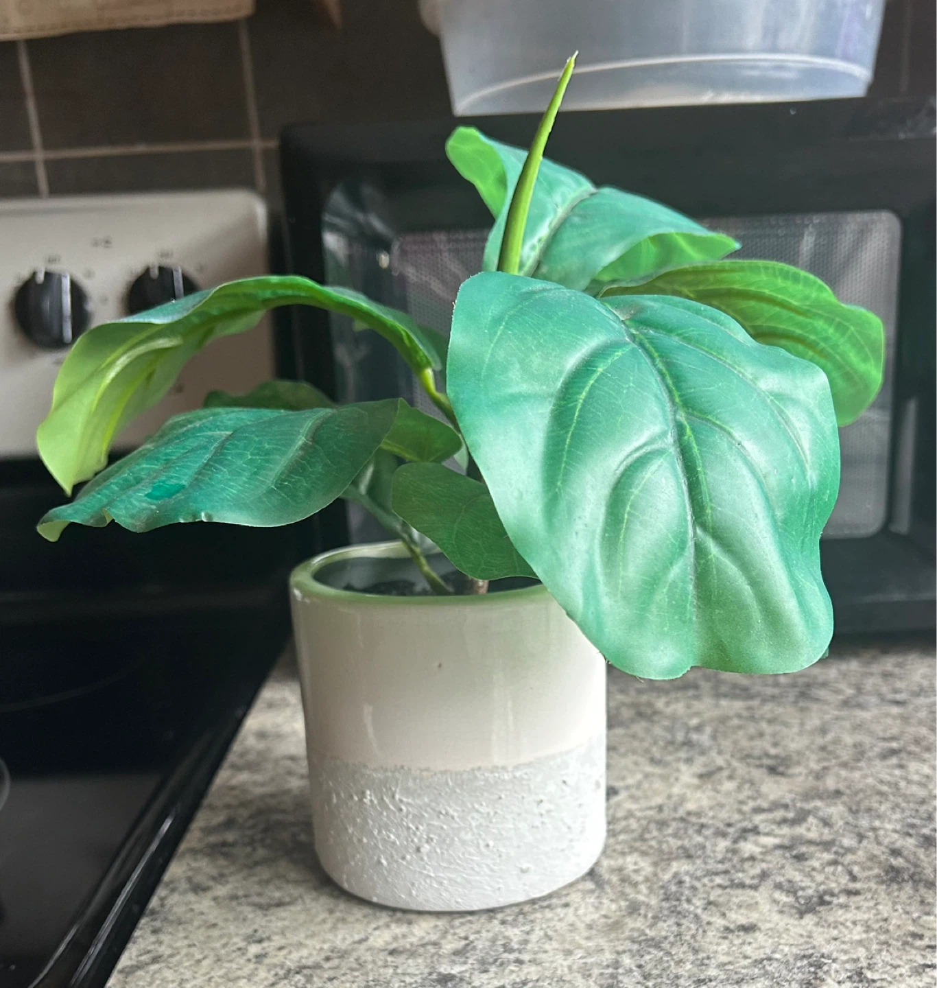 Fiddle Leaf Fig Artificial Plant in Pot ⚽