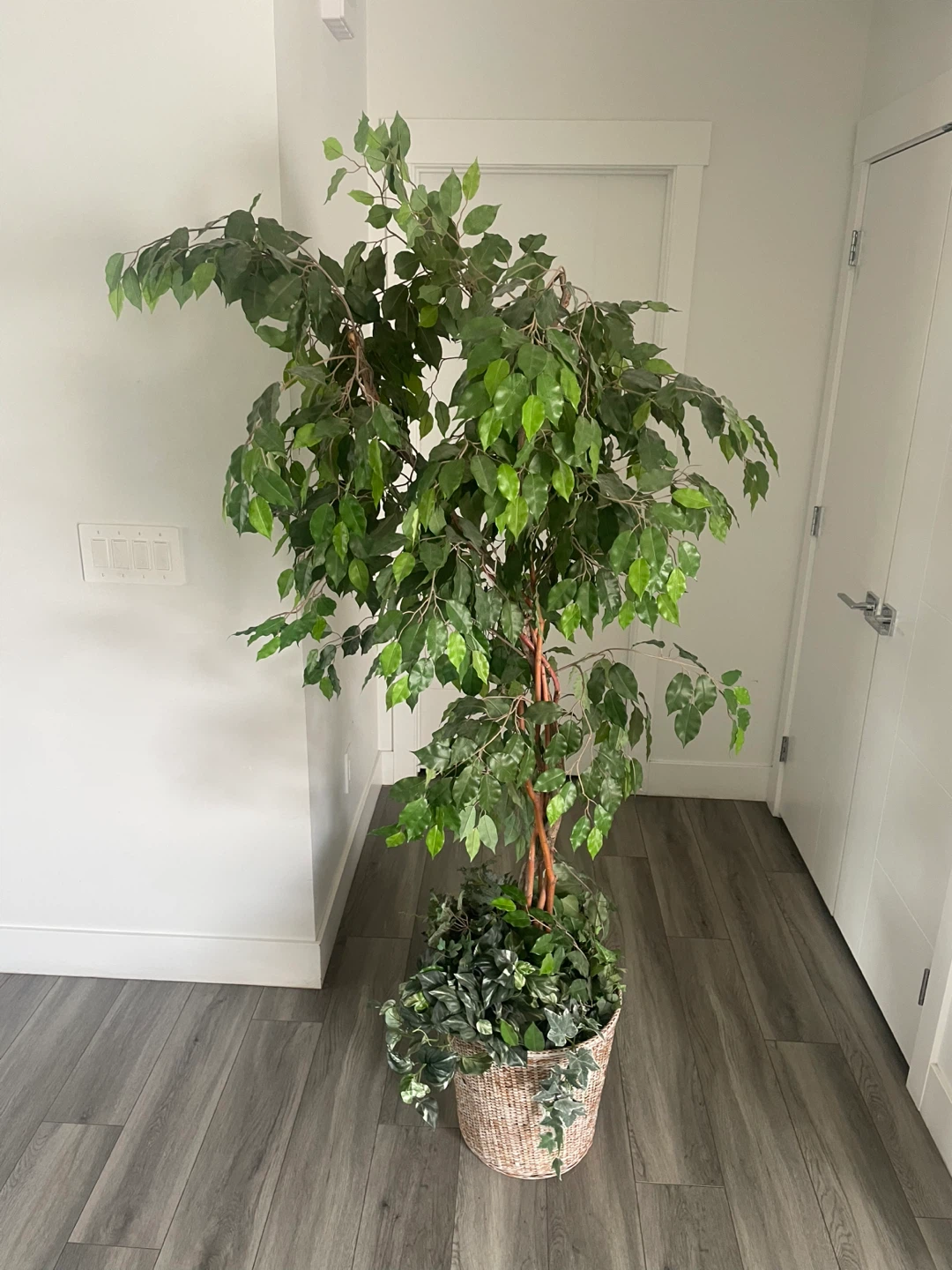 Artificial Ficus Tree