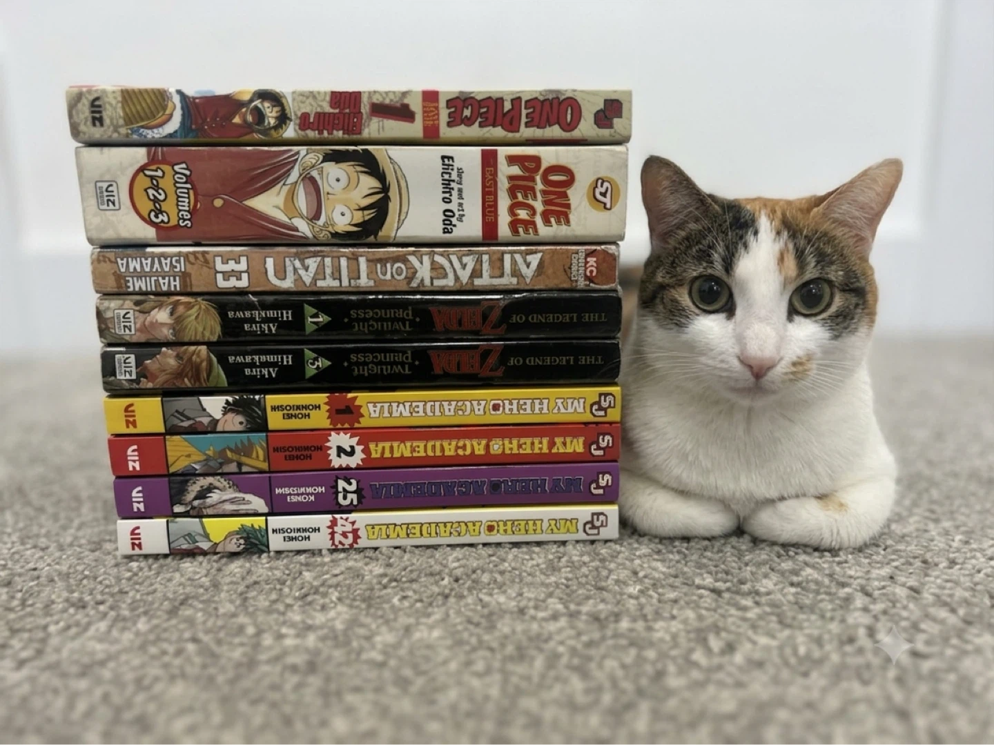 Random Manga Lot