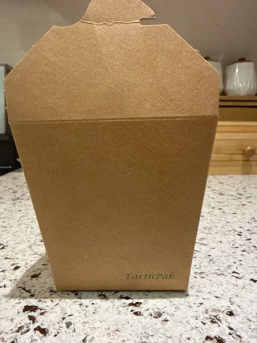 ⚽️EarthPak Takeout Box with Handle - photo 2