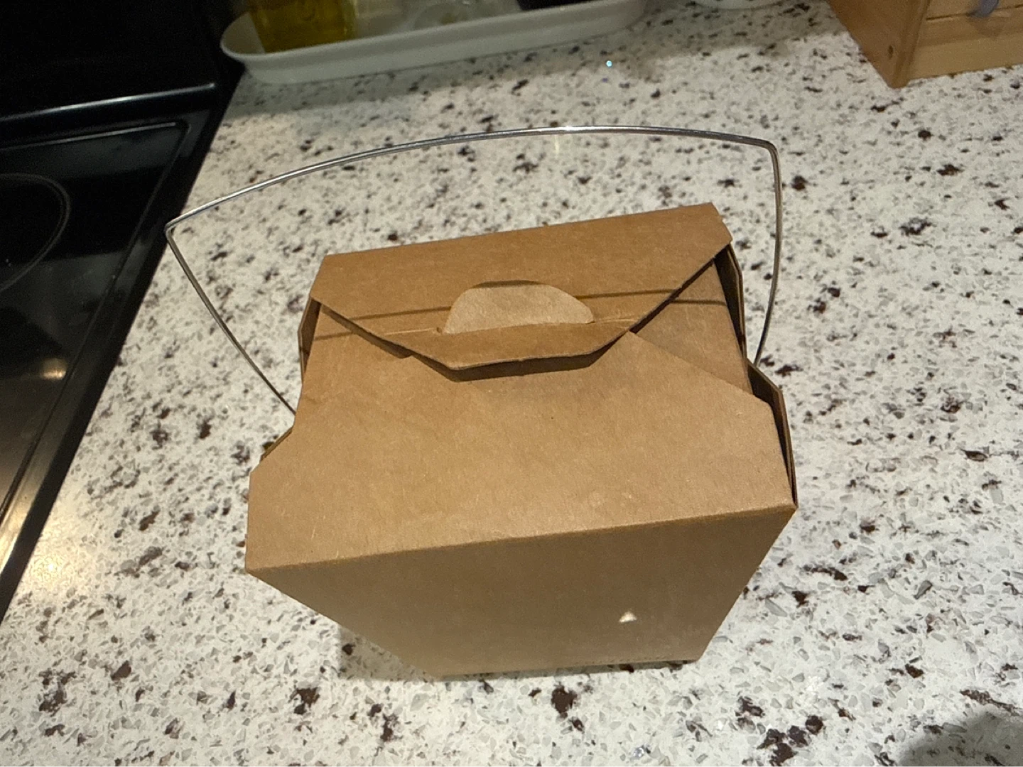 ⚽️EarthPak Takeout Box with Handle - photo 5