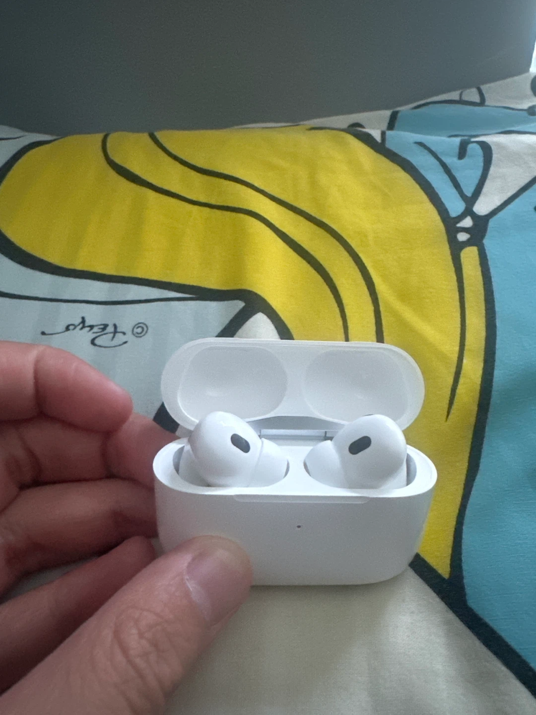 Apple AirPods Pro (2nd Gen) - photo 2